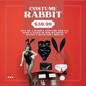rabbit costume