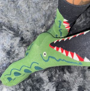 alligator socks