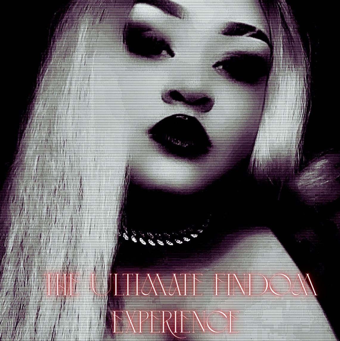 The Ultimate Findom Experience
