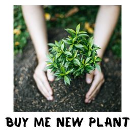 Make Me Happy With a New Plant