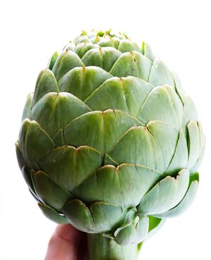 Artichoke