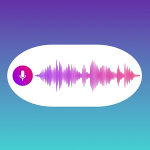Custom Voice Message