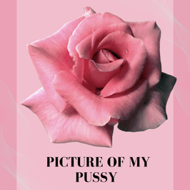 Picture of my Pussy