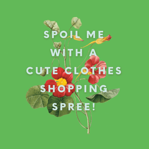 Spoil Me with a Clothes Shopping Spree!