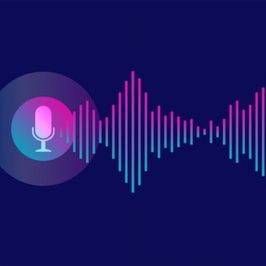 Custom Audio Notes Explicit