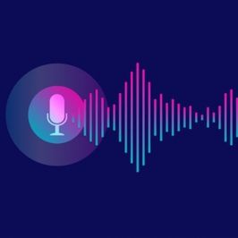Audio Note Explicit Add On