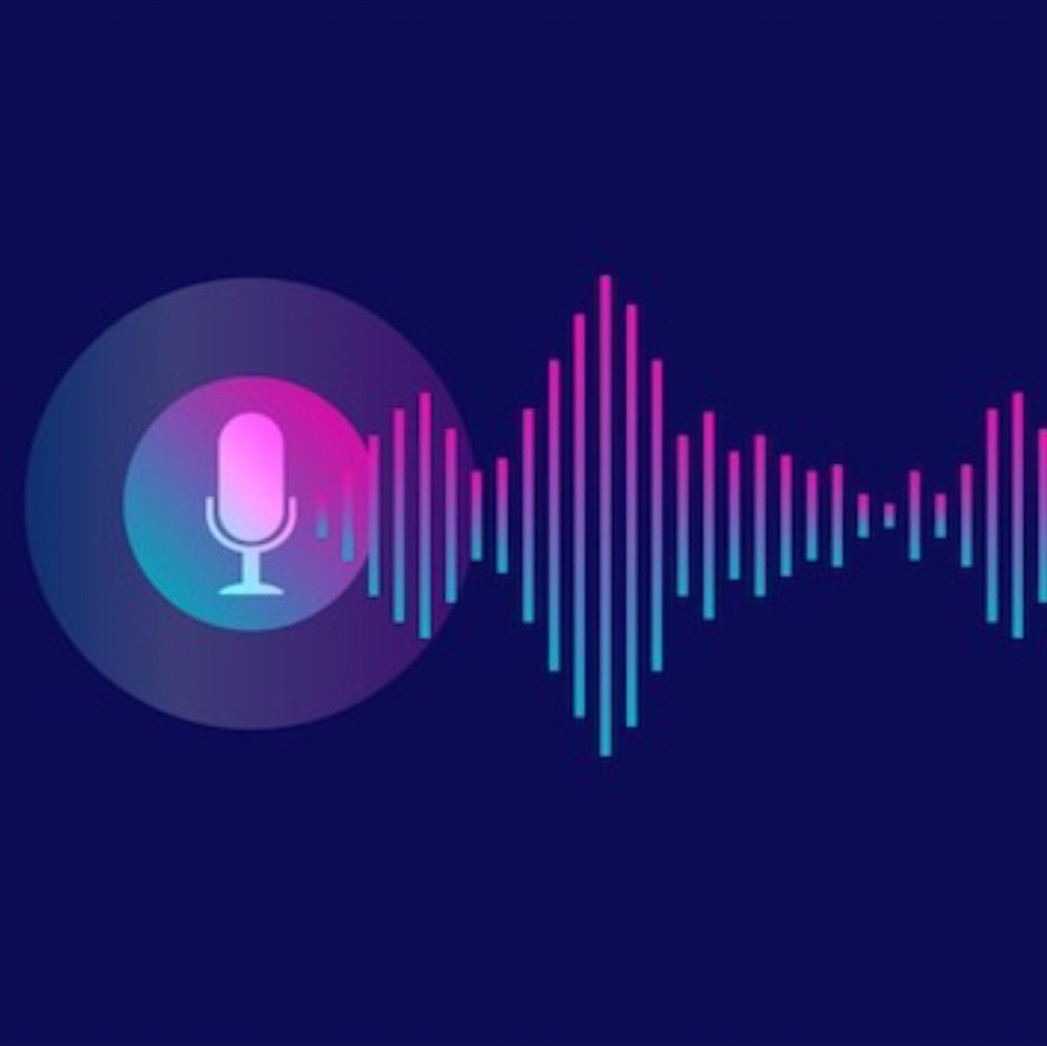 Audio Note Explicit Add On