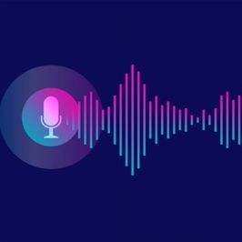 Custom Audio Notes Explicit Add On