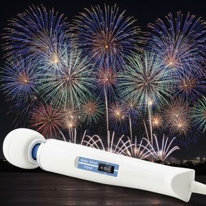 Buy Me a New Hitachi Wand