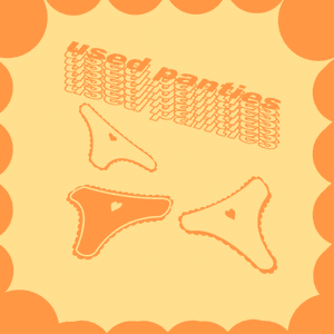Used Panties