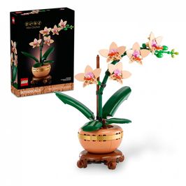 Mothers Day Flowers