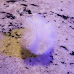 Saphira Noirs Ebony Furry Tail