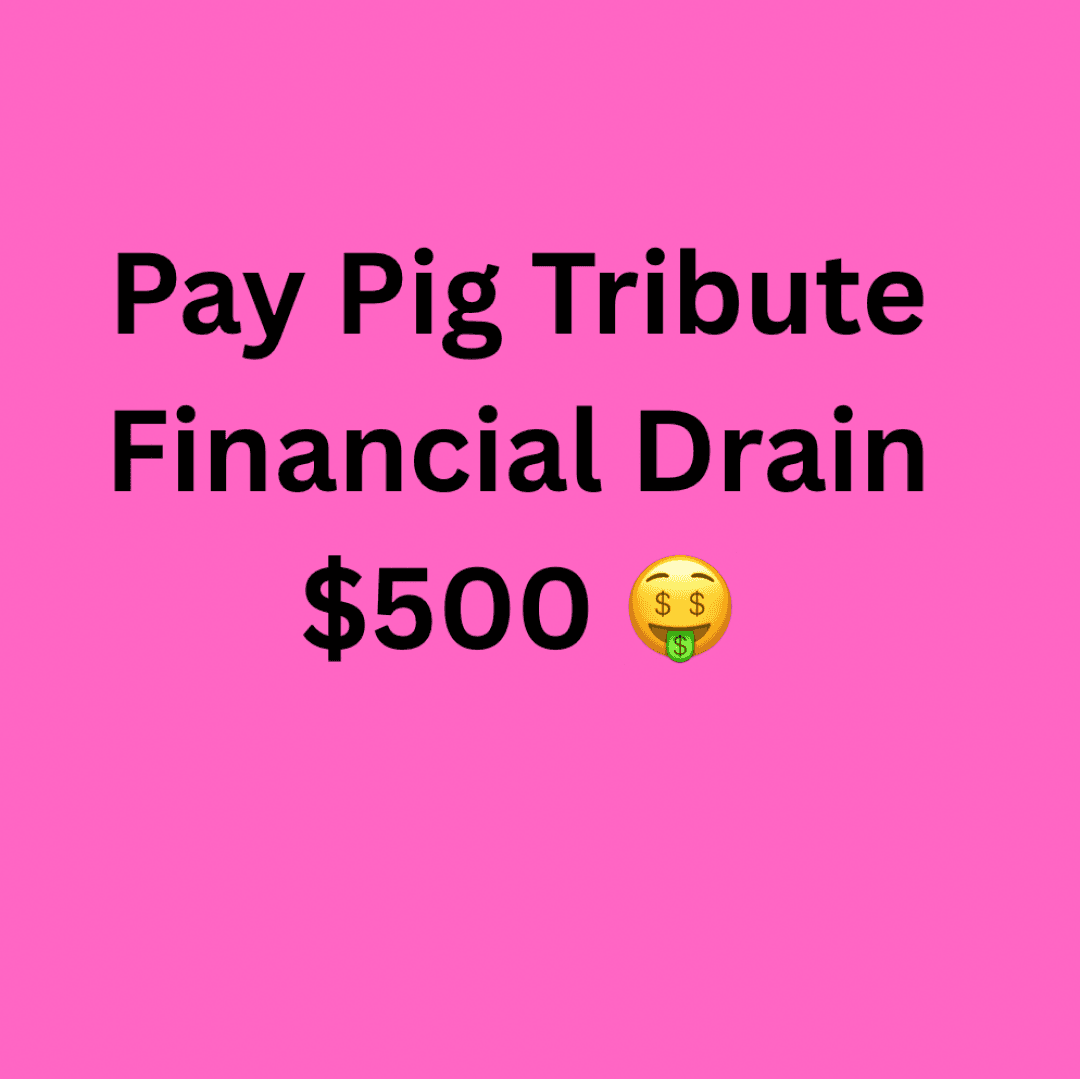 Pay Pig Tribute 500 Dollar Financial Drain