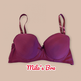 Burgundy Bra