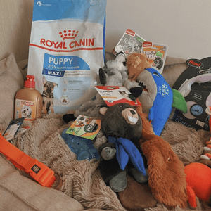 Shelter Care Package