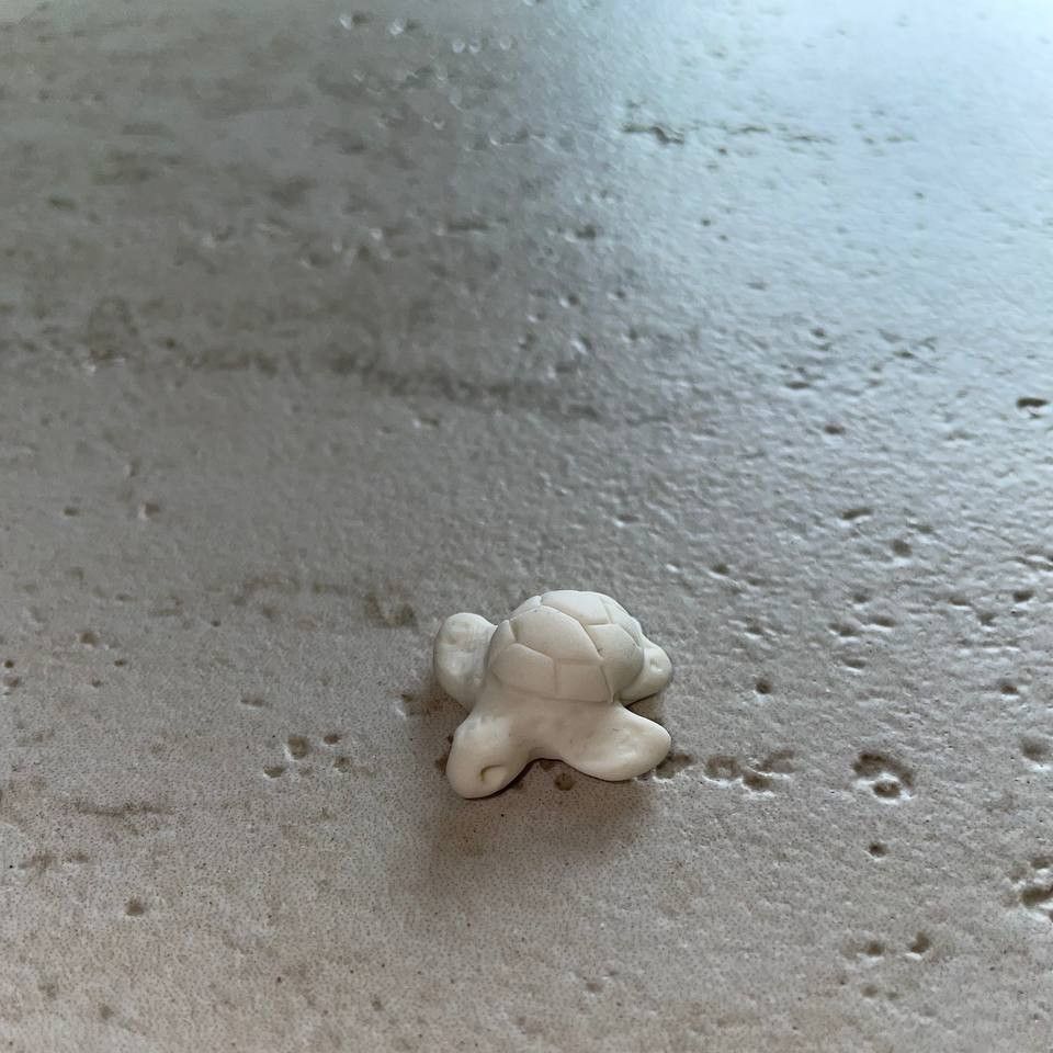 Beautiful handmade turtle