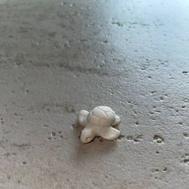 Beautiful handmade turtle