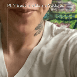 Pt 7 Bedtime Llama Cuddles Set