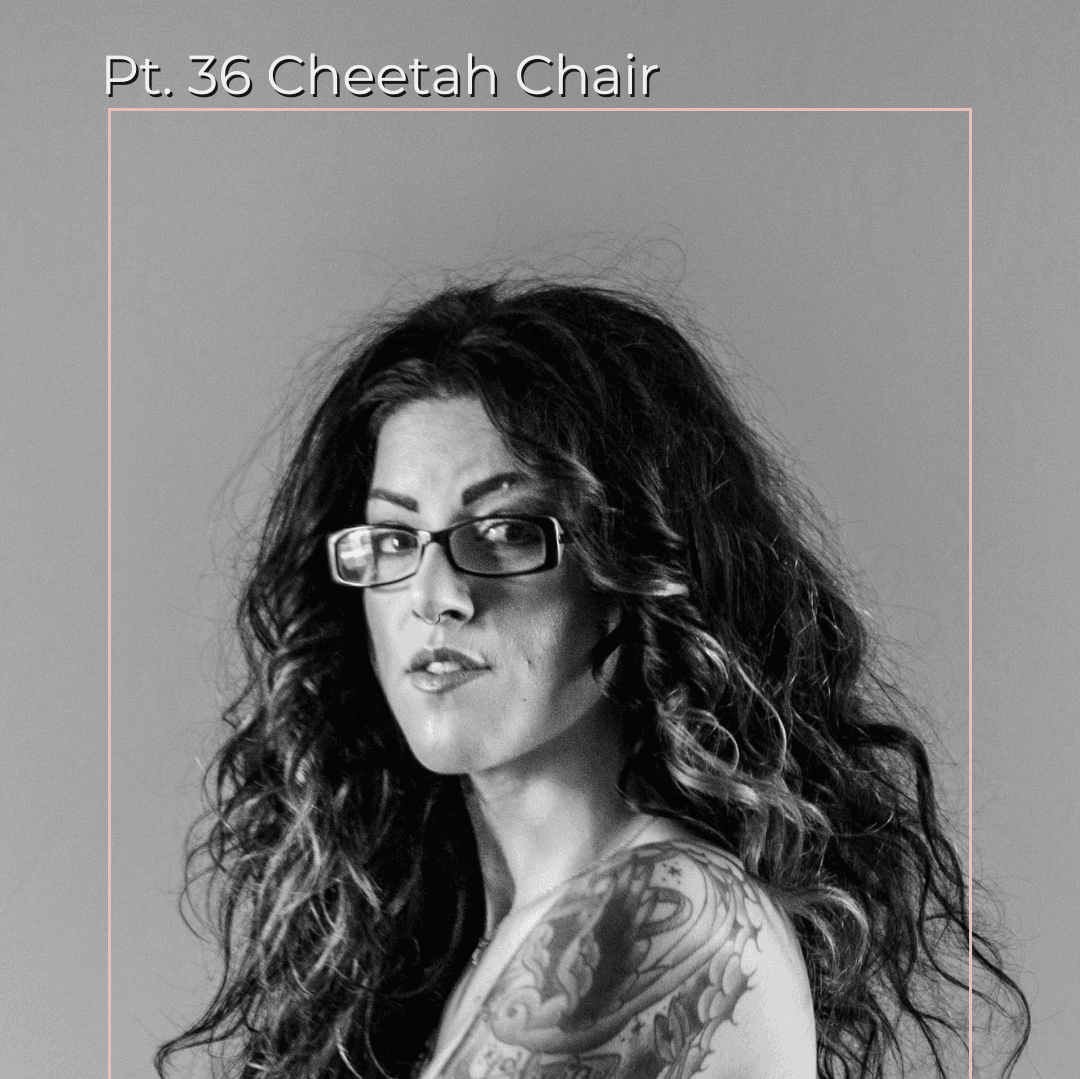 Pt 36 Cheetah Chair Set