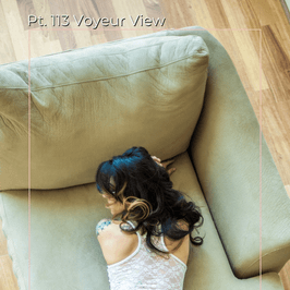 Pt 113 Voyeur View Set