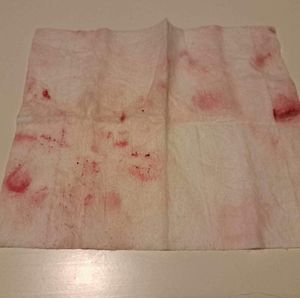 Lipstick rag