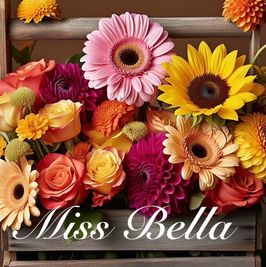 Bellas Slutty Playroom Livestream Mega Bundle