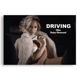 Poster Driving Miss Daisy Diamond A1