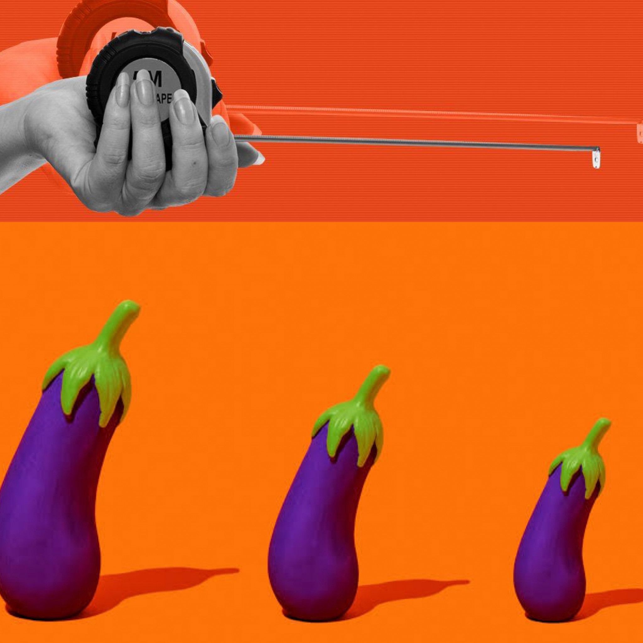 Penis Rating