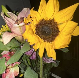 Buy me flowers