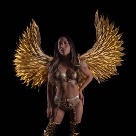 sponsor for golden wings