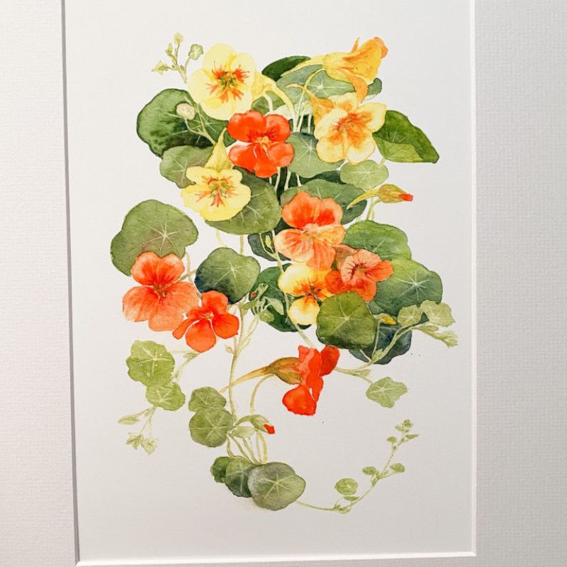 Water Color Painting Flowers