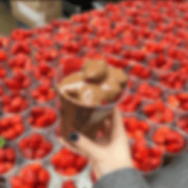 Give me a chocolatecovered strawberry