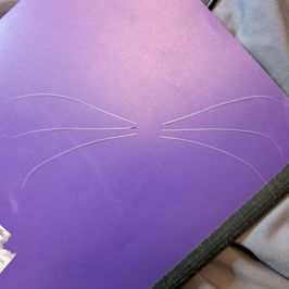 REAL Whiskers for crafting cosplay accessories