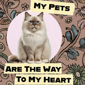 Spoil My Pets