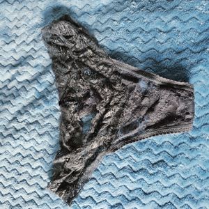 grey lace thong