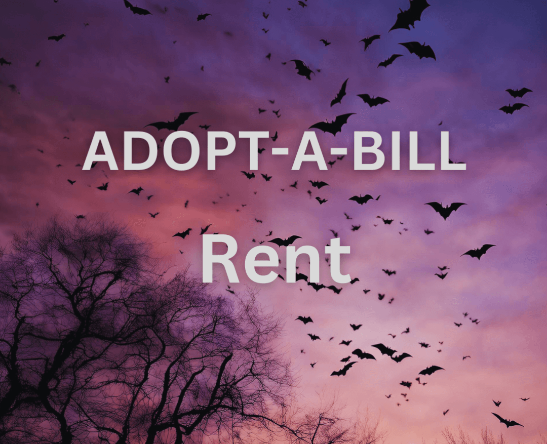 Rent