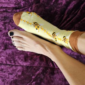 Lady Bees Bee Socks
