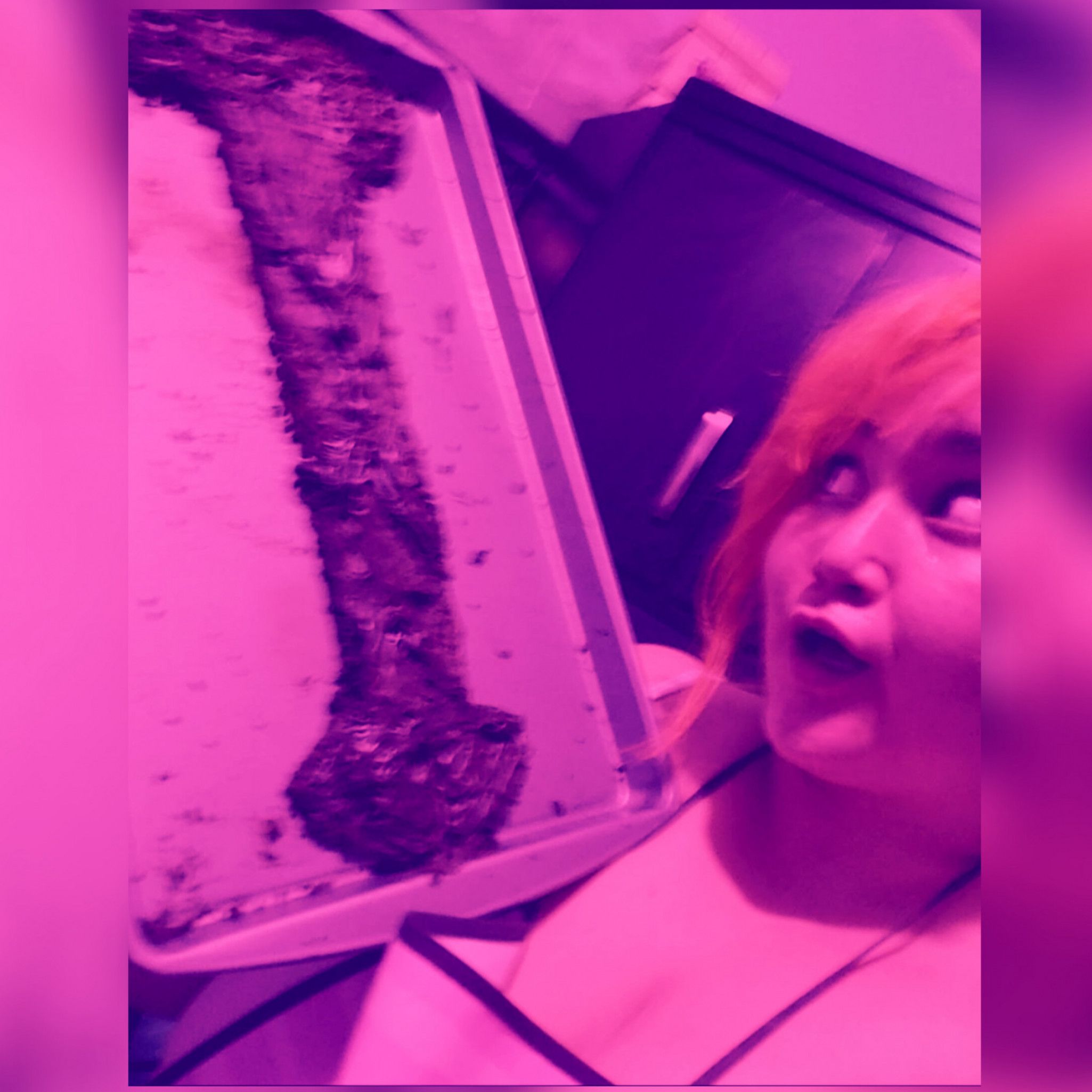 Treat Me Gluten Free Brownies