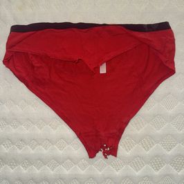 Used Torn Pink Panties Free Shipping US Only