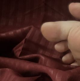 Feet pigs