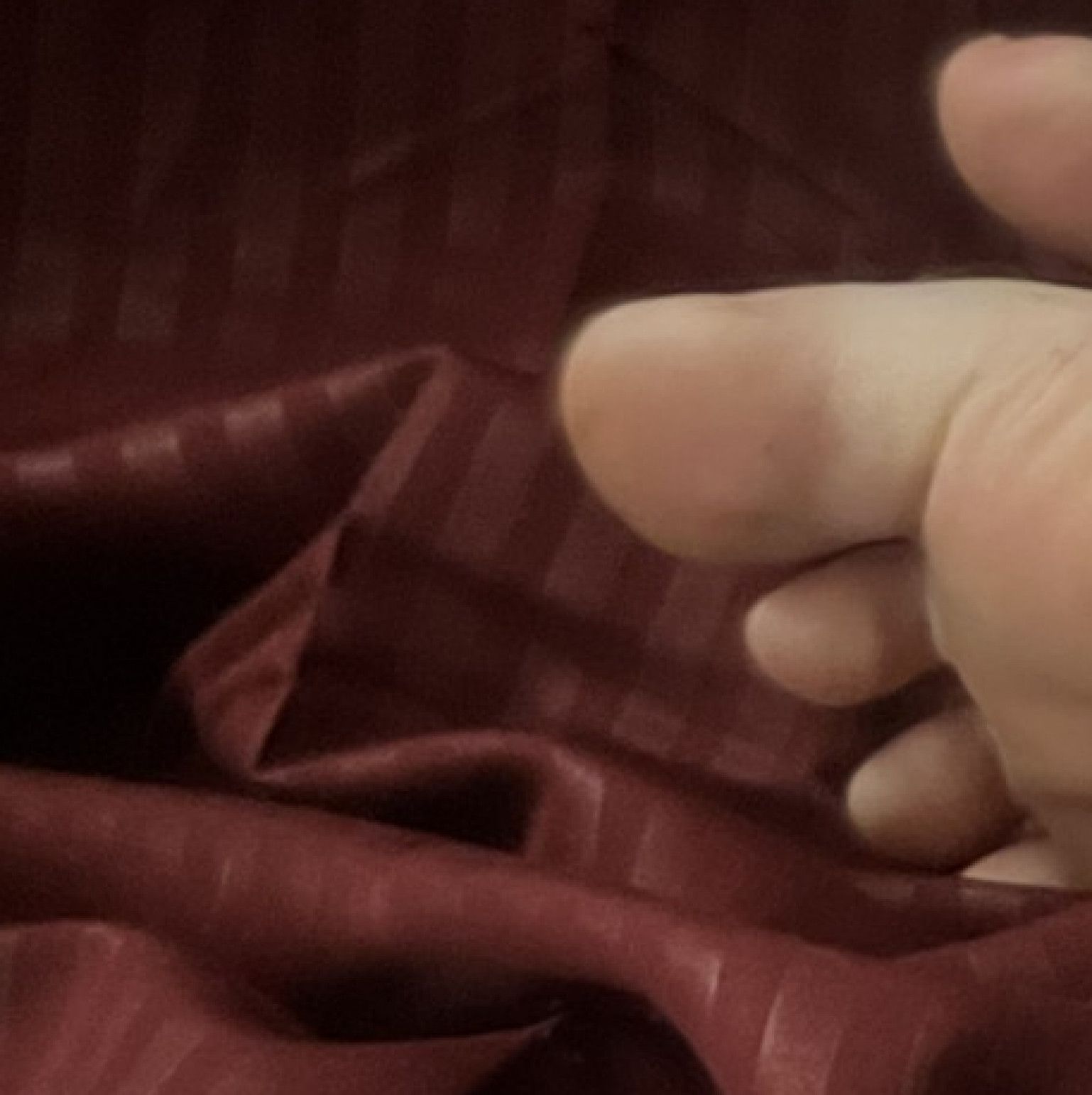 Feet pigs