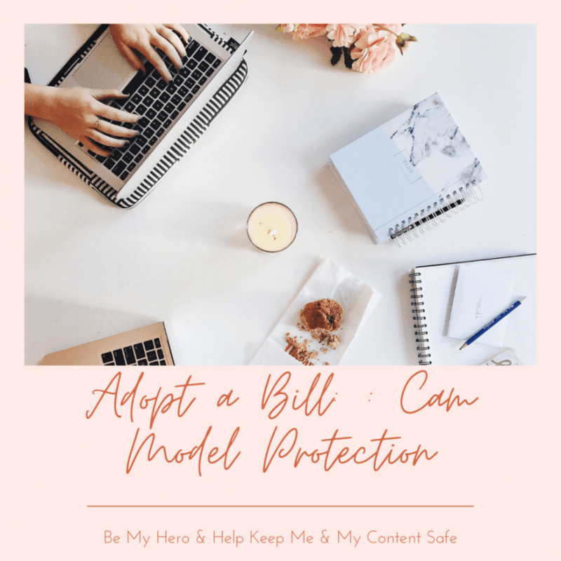 Cam Model Protection