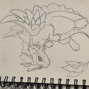 Dragon Sletch by Naomi