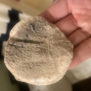 Dry Used Make Up Cloth