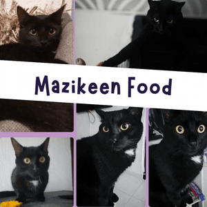 Mazikeen Food