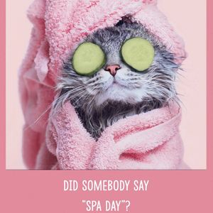 Treat me to a lovely day at the spa