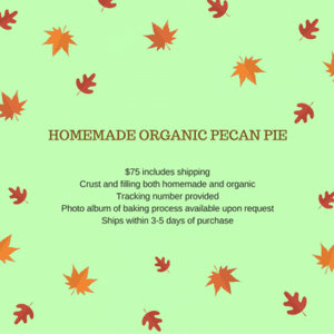 9in Homemade Organic Pecan Pie