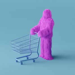 Monthly groceries