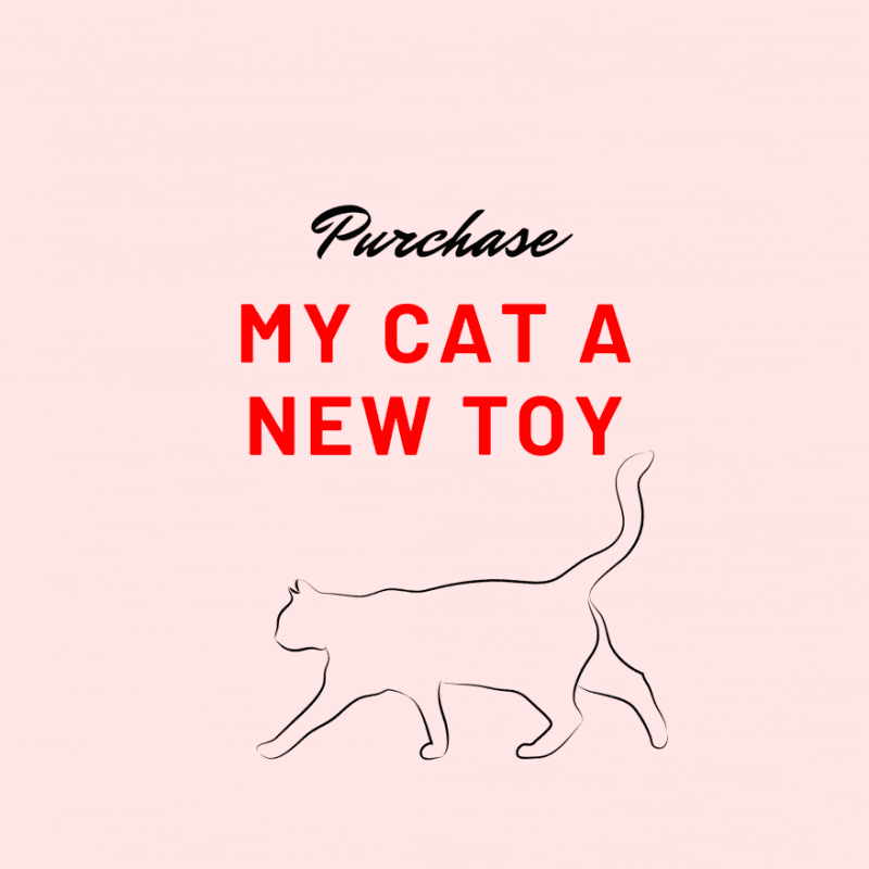 Buy My Cat a New Toy