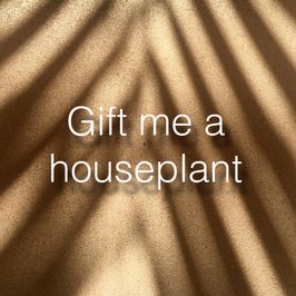 Gift me a houseplant